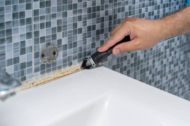 Best Black Mold Remediation in Walnut Creek, OH